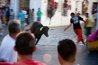 Photo of bull running in the local village